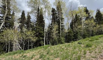 695 W Hunter Ridge Rd, Brian Head, UT 84719
