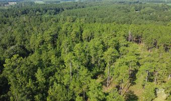 0 Lowery Rd Lot #11, Atmore, AL 36502