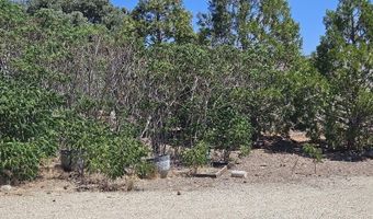 2026 Masonic Dr, Gardnerville, NV 89410