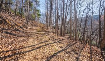 Ararat Highway, Ararat, VA 24053