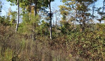 Off Hwy F, Annapolis, MO 63620