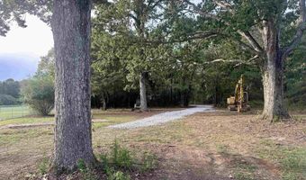 3 82 Acres Alabama Highway 251, Athens, AL 35613