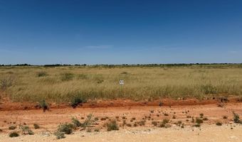 1130 SE 1620, Andrews, TX 79714