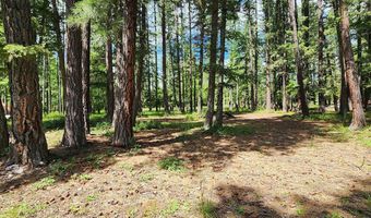 12430 Rippling Waters Rd, Bigfork, MT 59911