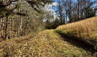 1520 Brittontown Rd, Afton, TN 37616