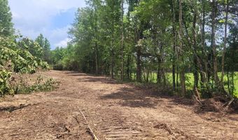 484 Naples Ln, Arab, AL 35016