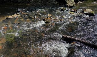 0 Coleman Mountain Rd, Appomattox, VA 24522