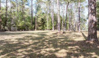 159 SW 70TH Ave, Bell, FL 32619