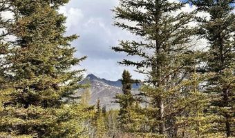 B005 S Packsaddle Road, Chickaloon, AK 99674