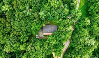 12 Beech Tree Ln, Asheville, NC 28804