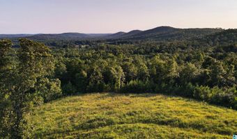 200 TABLEE LANE Lot 17.65, Ashland, AL 36251