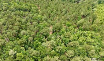 Fox Paw Court, Branchville, SC 29432