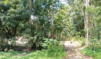 11 Th Ave, Keaau, HI 96749
