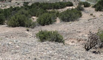 BEAN CREEK Road, Abiquiu, NM 87510