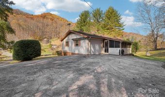 480 Paint Fork Rd, Barnardsville, NC 28709