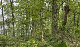 Tract 1 East Bay Road, Atkins, AR 72823
