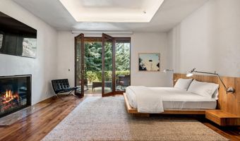 1011 Ute Ave, Aspen, CO 81611