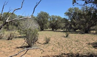 912 Westwood Rnch, Ash Fork, AZ 86320