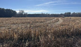 0 Bivalve Lodge Rd, Bivalve, MD 21814