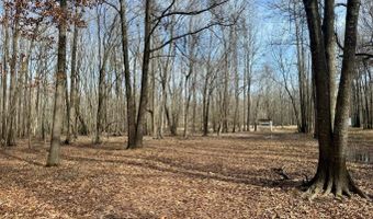 Putnam Road, Belzoni, MS 39038