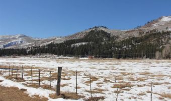 156 Golden Forest Rd, Bayfield, CO 81122