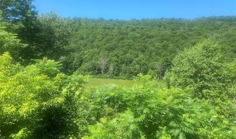 5249 State Route 21, Alfred, NY 14803