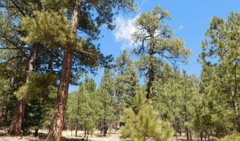 Lot 12 Sawmill Way Loggers Ridge, Angel Fire, NM 87710