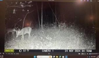 Whiskey Creek Lane, Batesville, AR 72501