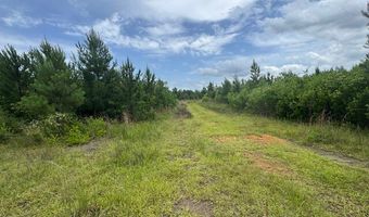 0 Salco Rd, Axis, AL 36505