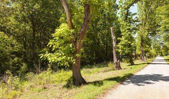 Beech Bluff Road, Beech Bluff, TN 38313