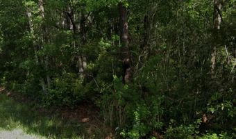 0 W Rankin St, Bay St. Louis, MS 39520