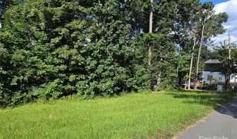 Shoreline Road 107, Badin Lake, NC 28127