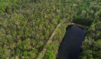 595 Ridgeview Lake Dr, Alabaster, AL 35007