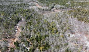 68 Tower Rd, Argyle Twp., ME 04468