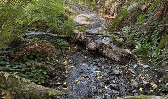 Silver Creek RD 2, Gold Beach, OR 97444
