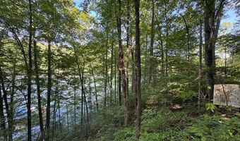 Fontana Forest 5, Almond, NC 28702