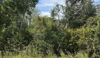 0 Lake Mayers Rd, Baxley, GA 31513