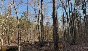 MOUNTAIN CUT RD lot D, Appomattox, VA 24522