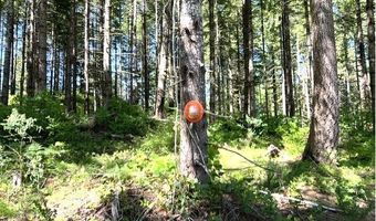 Tunnel Tract Parcel1, Banks, OR 97106