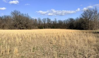 0001 CR-290, Asbury, MO 64832