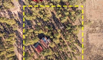 10 County Rd 2271, Alpine, AZ 85920