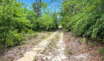 Broadview Avenue, Alford, FL 32420