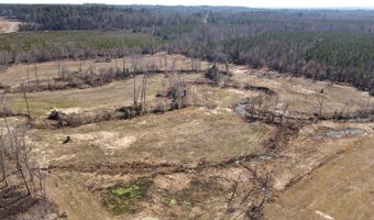 tbd 54.89 Acres N Hwy 53, Arkadelphia, AR 71923