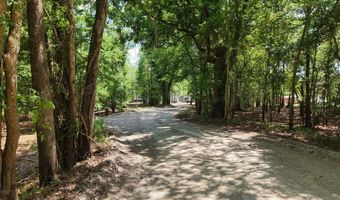 TBD 000 SW 86th Way, Bell, FL 32619