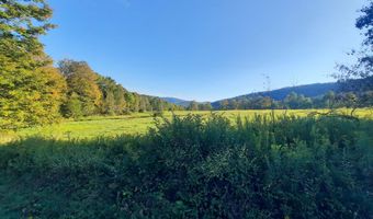 Lower Dingle Hill Road, Andes, NY 13731