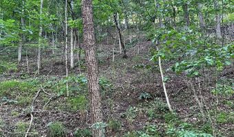 Lot 161 LEE RD, Basye, VA 22810