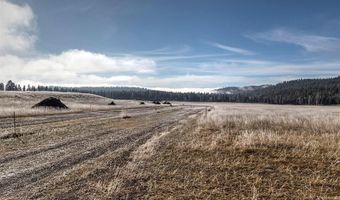 lot # 20 13442 Vannoy Lane, Bonner, MT 59823