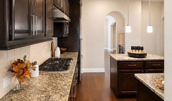 3233 Rolling Meadow Dr, Anna, TX 75409