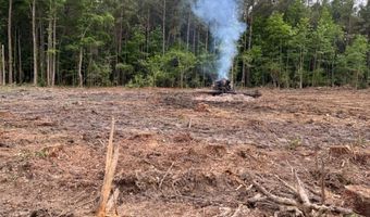 715 Old Pinola Braxton Rd, Braxton, MS 39044