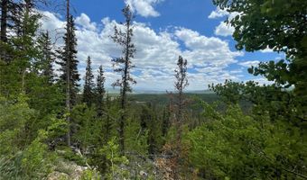 847 County Road 787, Alma, CO 80420